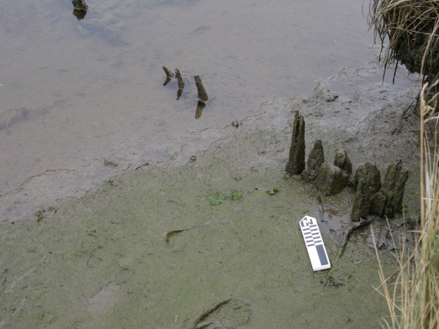 Assessing Cultural Resources at Kilchis Point