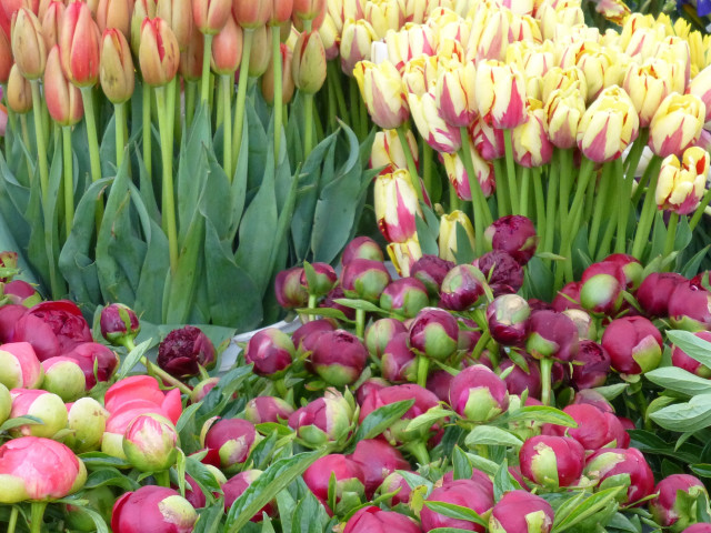 Giving in June Makes Sense, Helps Grantees