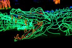 Zoo Lights